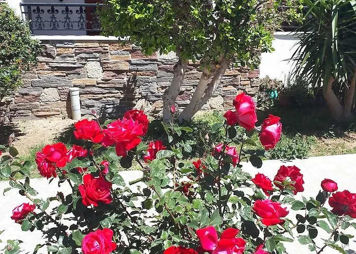 Ξενοδοχείο με διαμερίσματα Annita's Village